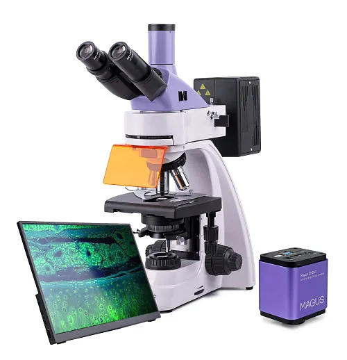 képe MAGUS Lum D400 LCD fluoreszcens digitális mikroszkóp