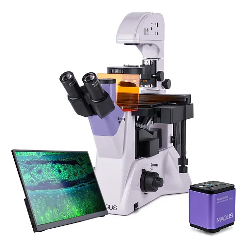 képe MAGUS Lum VD500 LCD fluoreszcens fordított digitális mikroszkóp
