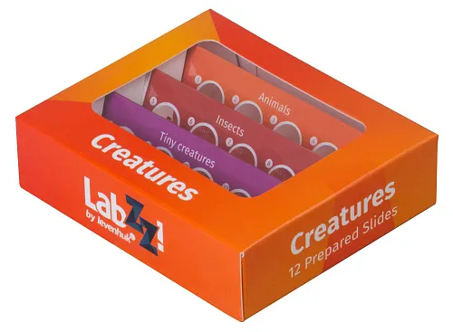 fényképe Levenhuk LabZZ C12 Élőlények – előkészített tárgylemez-készlet