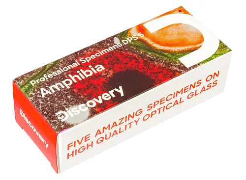 fényképe Levenhuk Discovery Prof DPS 5 mikropreparátum mintakészlet. „Kétéltűek”,  1