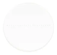 fényképe MAGUS CSS1 kalibrációs tárgylemez sztereomikroszkópokhoz (0,1)