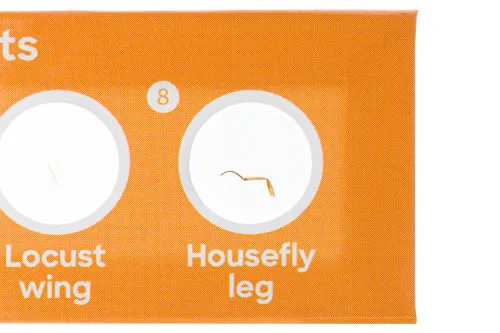 fényképe Levenhuk Discovery Flora & Fauna – 24 előkészített tárgylemezkészlet,  5