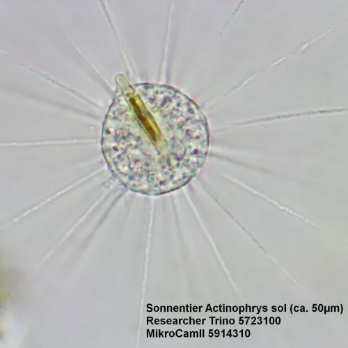 fotója Bresser Researcher Trino 40–1000x mikroszkóp,  15