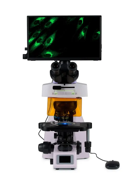 fényképe MAGUS Lum D450L LCD fluoreszcens digitális mikroszkóp,  8