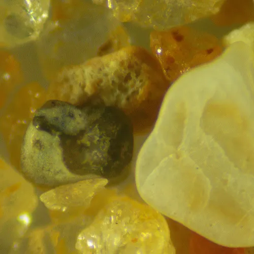 fotója MAGUS Stereo 9T sztereomikroszkóp,  21