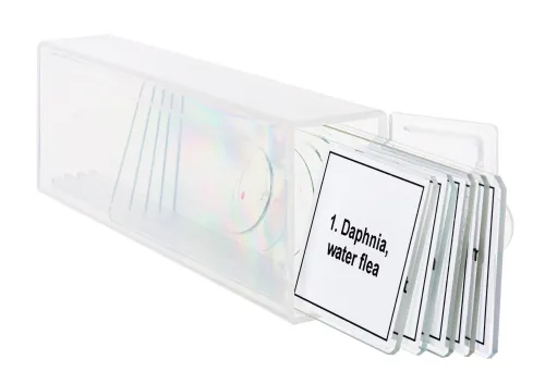 fotója Levenhuk Discovery Prof DPS 5 mikropreparátum mintakészlet. „Élet egy csepp vízben”,  5