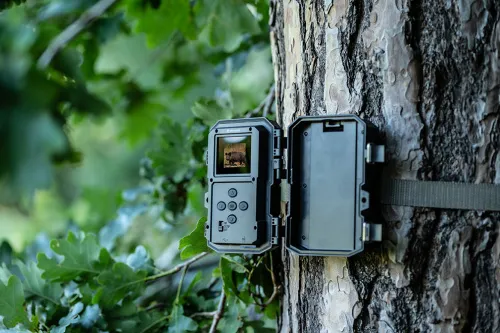 fényképe Bresser 60°-os vadvilág-megfigyelő 5–20 MP kamera,  11