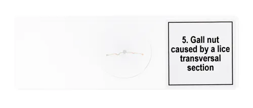 képe Levenhuk Discovery Prof DPS 5 mikropreparátum mintakészlet. „Mutációk”,  8