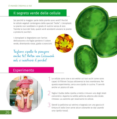 képe Láthatatlan világ. Ismeretterjesztő könyv,  6