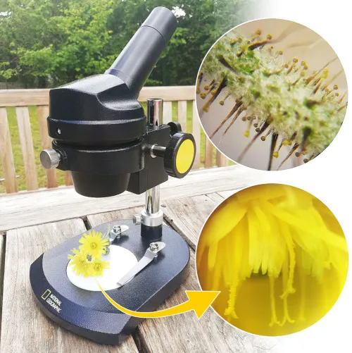 képe Bresser National Geographic 20x mikroszkóp, monokuláris,  11