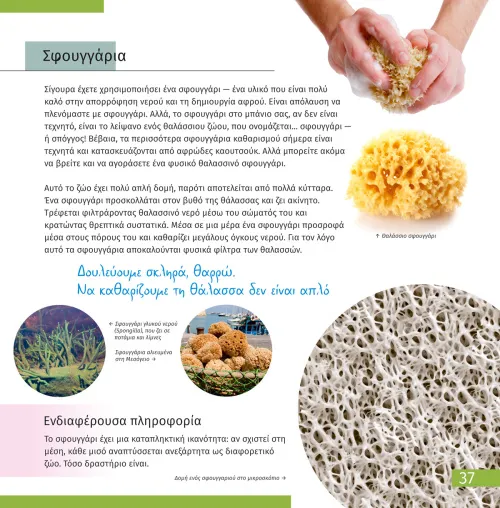 képe Láthatatlan világ. Ismeretterjesztő könyv,  2