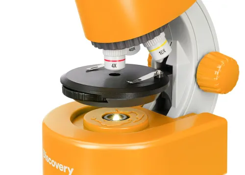 fotója Levenhuk Discovery Micro mikroszkóp és könyv,  13