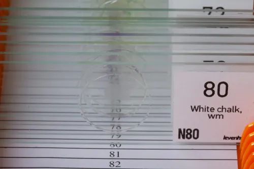 fényképe Levenhuk N80 NG „Láss mindent!” tárgylemezkészlet,  7