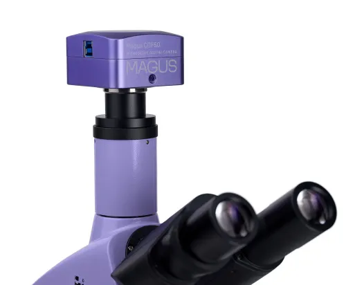 képe MAGUS Bio D250T biológiai digitális mikroszkóp,  26