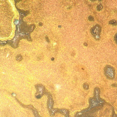 képe MAGUS Metal V790 DIC metallográfiai fordított mikroszkóp,  21