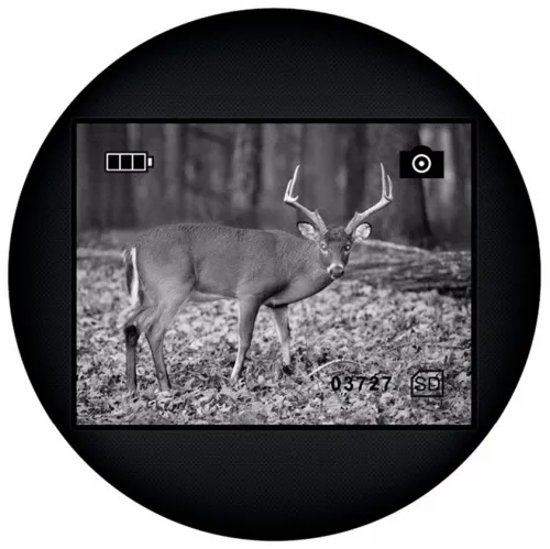 képe Levenhuk Atom Digital DNM100 éjjellátó egyszemes távcső,  12