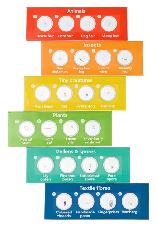 fényképe Levenhuk Discovery Flora & Fauna – 24 előkészített tárgylemezkészlet,  3