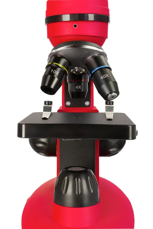 képe Levenhuk Discovery Nano mikroszkóp,  11