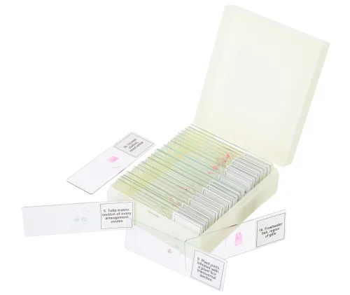 fényképe Levenhuk Discovery Prof DPS 25 mikropreparátum mintakészlet. „Biológia, madarak stb.”,  5