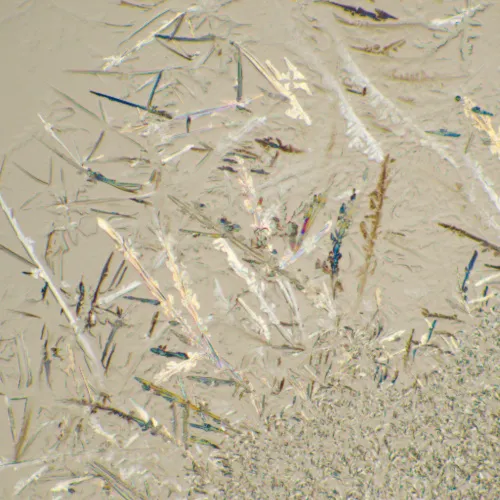 képe MAGUS Bio 230T biológiai mikroszkóp,  22