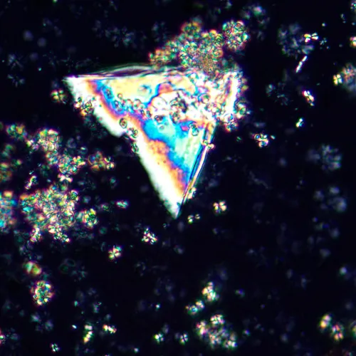 fotója MAGUS Pol 850 polarizáló mikroszkóp,  21