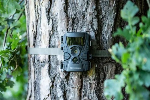fényképe Bresser 60°-os vadvilág-megfigyelő 5–20 MP kamera,  10