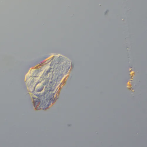 fényképe MAGUS DIC290 tartozékkészlet,  14