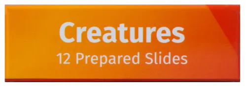 fényképe Levenhuk LabZZ C12 Élőlények – előkészített tárgylemez-készlet,  8