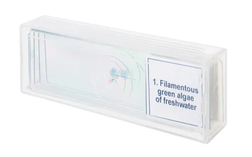 6463664 Levenhuk Discovery Prof DPS 5 mikropreparátum mintakészlet. „Biológia”,  4