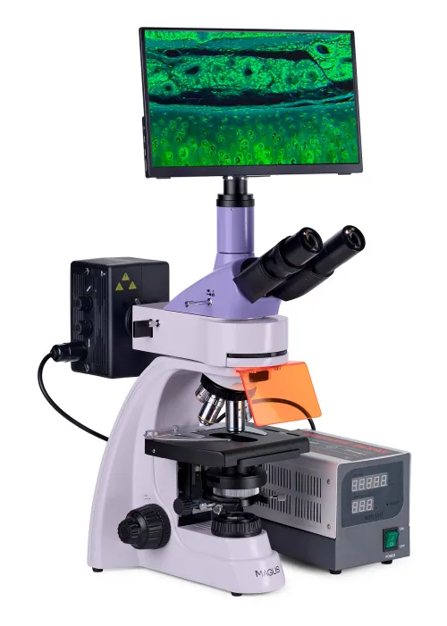 képe MAGUS Lum D400 LCD fluoreszcens digitális mikroszkóp,  4