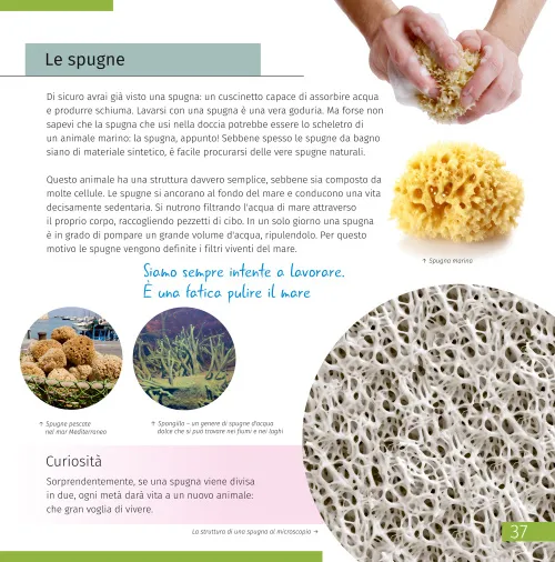 képe Láthatatlan világ. Ismeretterjesztő könyv,  2