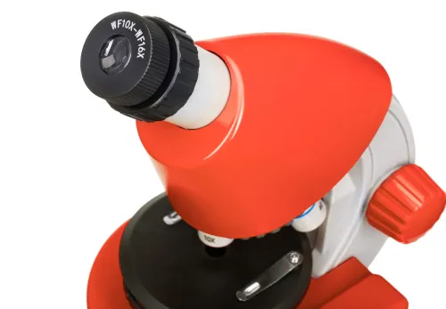 fotója Levenhuk Discovery Micro mikroszkóp és könyv,  11