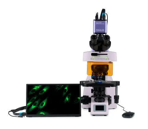 fényképe MAGUS Lum D450L LCD fluoreszcens digitális mikroszkóp,  9