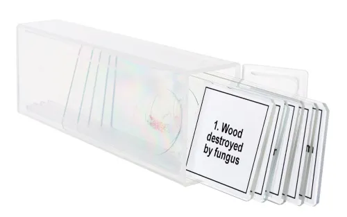 képe Levenhuk Discovery Prof DPS 5 mikropreparátum mintakészlet. „Mutációk”,  5