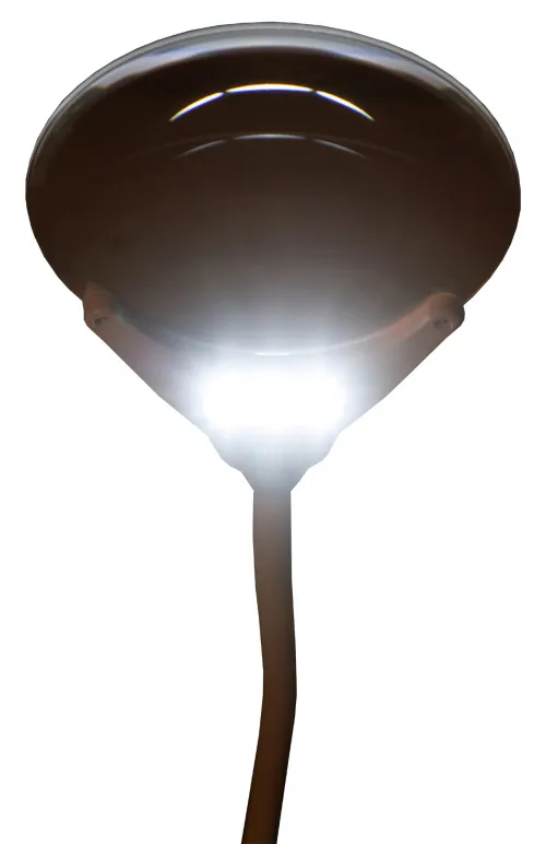 fényképe Levenhuk Zeno Lamp ZL7 fekete nagyító,  11