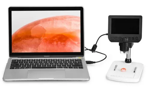 képe Levenhuk DTX 350 LCD digitális mikroszkóp,  14