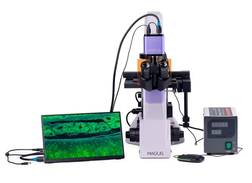 képe MAGUS Lum VD500 LCD fluoreszcens fordított digitális mikroszkóp,  6