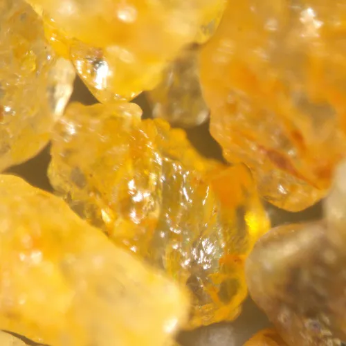 fotója MAGUS Stereo A18T sztereomikroszkóp,  7