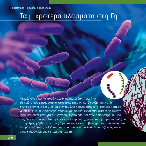 képe Láthatatlan világ. Ismeretterjesztő könyv,  7