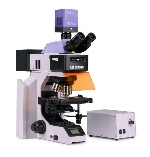 fotója MAGUS Lum D470L fluoreszcens digitális mikroszkóp,  3