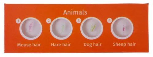 fényképe Levenhuk LabZZ C12 Élőlények – előkészített tárgylemez-készlet,  2