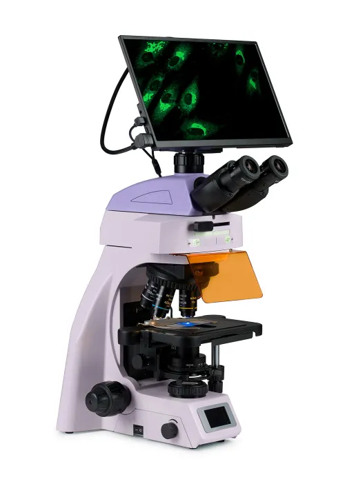 fényképe MAGUS Lum D450L LCD fluoreszcens digitális mikroszkóp,  3