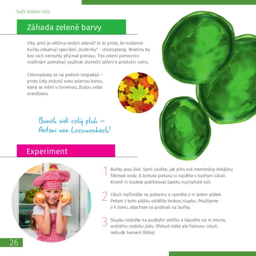 fényképe Láthatatlan világ. Ismeretterjesztő könyv. Keményfedeles,  4