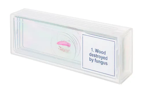 képe Levenhuk Discovery Prof DPS 5 mikropreparátum mintakészlet. „Mutációk”,  4