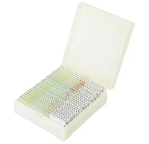 fényképe Levenhuk Discovery Prof DPS 25 mikropreparátum mintakészlet. „Biológia, madarak stb.”,  7