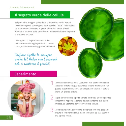 képe Levenhuk Discovery Nano mikroszkóp,  7