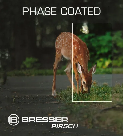 képe Bresser Pirsch 10x42 kétszemes távcső,  11