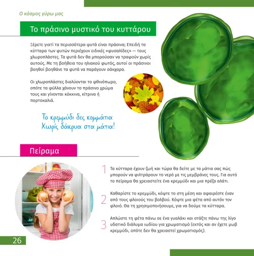 képe Láthatatlan világ. Ismeretterjesztő könyv,  6