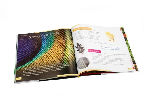 fényképe Láthatatlan világ. Ismeretterjesztő könyv. Keményfedeles,  4