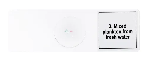 fotója Levenhuk Discovery Prof DPS 5 mikropreparátum mintakészlet. „Élet egy csepp vízben”,  7